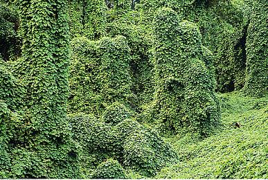 横尾太郎：如今游戏行业的“怪人”越来越少了