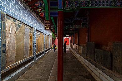 《数码宝贝：绝境求生》销量破50万 官方发文致谢