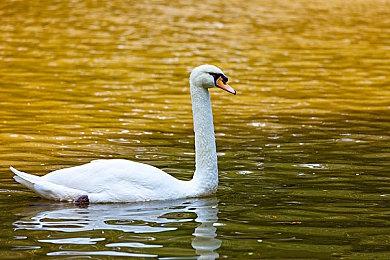 卡普空发布《怪物猎人：荒野》介绍视频 更多实机画面曝光