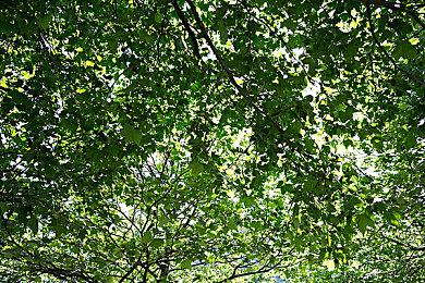 《杀手3》PC版现已支持光追和DLSS＆FSR